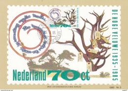 Netherlands Pays Bas Maximum Card 29.02.1985 De Hoge Veluwe - Andere & Zonder Classificatie