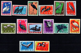 1963 Congo Belga, Uccelli, Serie Completa Nuova (**) - Ongebruikt