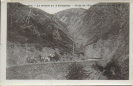 30)   VALLERAUGUE  -  La Montée De La Séregrède  - Route De L' Aigoual - Valleraugue