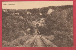 Olloy-sur-Viroin - Le Tunnel  ( Voir Verso ) - Viroinval