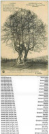 80 LUCHEUX. L'Arbre Aux Epousailles 1915 - Lucheux