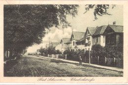 BAD SCHWARTAU Bei Lübeck Elisabethstraße Belebt Villen An Neuer Unbefestigter Strasse 29.8.1919 Gelaufen Grünlich - Bad Schwartau