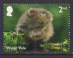 GB 2023 KC 3rd 2nd River Wildlife Water Vole Umm ( 542 ) - Ongebruikt