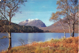 ROYAUME UNI - Liatach From Loch Clair - The Torridons - Ross-Shire - Colorisé -  Carte Postale - Sonstige & Ohne Zuordnung
