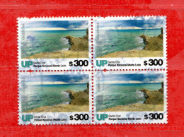 (L) Argentina ° 2019 - PARQUE NACIONAL  MONTE LEON. Bloc De 4.  Oblitérer. - Used Stamps