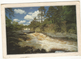 CPM, G. F. R.U. N°PC17 ,Low Force On River Tees , County Durham Ed.  Claughton  1997 - Altri & Non Classificati