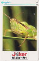 Rare Télécarte JAPON / 110-011 - SERIE JOKER AGREVO - ANIMAL INSECTE - INSECT JAPAN Phonecard / Germany Rel. - 299 - Altri & Non Classificati