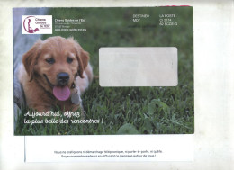 Enveloppe Reponse T Chien Guide Est + Destineo - Cartes/Enveloppes Réponse T