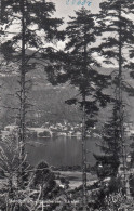 D9536) STEINDORF Am OSSIACHERSEE - Kärnten  S/W FOTO AK - - Ossiachersee-Orte