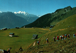 CPM - RIEDERALP - Vue Panoramique (randonneurs) - Edition Klopfenstein - Riederalp