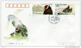 A29846)China 2223 - 2224 FDC, Vogel - 1980-1989