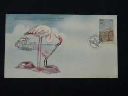 Carte Maximum Card Flamant Rose Pink Flamingo South West Africa 1979 - Fenicotteri