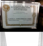 Diplôme à Massuel Pascal Champion De France UNSS D'Escrime En 1981 Demeurant à Laon Encadré Et Sous Verre 38 X 28 Cm - Fechten