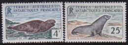 Antartique   .  Y&T   .     20/21      .   **       .    Neuf Avec Gomme Et SANS Charnière - Unused Stamps