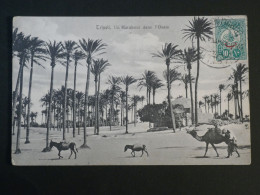 DF18 TURQUIE BELLE  CARTE ENV. 1910 TRIPOLI+MARABOUT DS L OASIS  ++AFF. PLAISANT+ - Briefe U. Dokumente