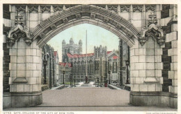 Gate, College Of The City Of New York, Detroit Publishing Co., 12742 - Education, Schools And Universities