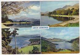 Loch Lomond Composite - (Scotland) - Argyllshire