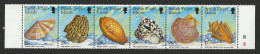 British Virgin Islands   .   Sheet #1   .  1999   .  "Shells And Snails" - British Virgin Islands