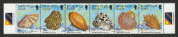 British Virgin Islands   .   Sheet #2   .  1999   .  "Shells And Snails" - British Virgin Islands