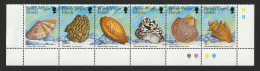 British Virgin Islands   .   Sheet #3   .  1999   .  "Shells And Snails" - British Virgin Islands