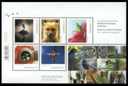 Canada 2010 MNH SS, Wild Life Photography, Animals, Birds, Owl, Humming Bird - Fotografie