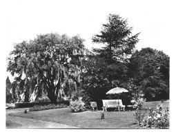 Kluisbergen Kwaremont Home St Franciscus Xaverius Hof Foto Prentkaart Htje - Mont-de-l'Enclus