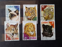 1977	Cuba Cats (F72) - Oblitérés