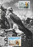 GIARDINO ZOOLOGICO DI ROMA - Avvoltoio Degli Agnelli - Le Gypaète Barbu - Aigles & Rapaces Diurnes