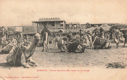 DJIBOUTI - Station Des Caravanes Venant De La Brousse - Carte Postale Ancienne - Djibouti