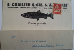 SUISSE - SUPERBE Carte Postale THEME PÊCHE Avec  TP 20c Perforé EC. (E. CHRISTEN) - 3 Photos - Perfin