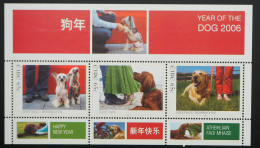 2006 Irland; Block Chinesisches Neujahr, Postfrisch/MNH, Bl. 57 - Andere & Zonder Classificatie