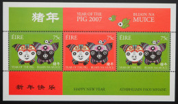 2007 Irland; Block Chinesisches Neujahr, Postfrisch/MNH, Bl. 63 - Other & Unclassified