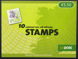 2007 Irland; Markenheftchen Wildblumen, Postfrisch/MNH, MiNr. 1763 MH, ME 13,- - Altri & Non Classificati