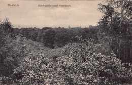 Boschgezicht Vanaf Rolandseck - Heelsum - Renkum