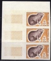 SOMALI COAST(1962) Cony. Imperforate Strip Of 3. Scott No 288, Yvert No 306. - Andere & Zonder Classificatie