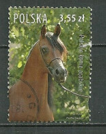 POLAND Oblitéré 4063 Faune Cheval Chevaux Horse - Used Stamps