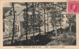 Luxembourg - Clervaux - Sanatorium Dans Le Bois - Forêt - Carte Postale Ancienne - Clervaux