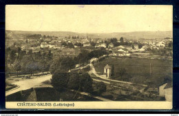 K09780)Ansichtskarte: Chateau-Salins - Lothringen
