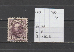 (TJ) Luxembourg 1891 - YT 66 (gest./obl./used) - 1891 Adolphe Voorzijde