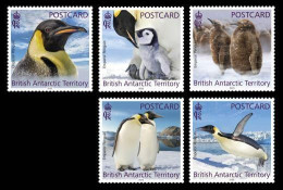 BAT 2023 FAUNA Animals PENGUINS (Postcard Rate) - Fine Set MNH - Neufs