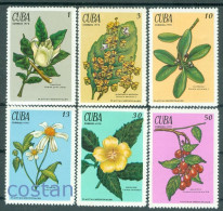 1970 Medicinal Plants,guarea,holy Basil,yellow Alder,picramnia,CUBA,1562,MNH - Plantes Médicinales