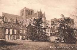 ROYAUME UNI - Vue Générale De La Cathédrale De Winchester - S.E - Carte Postale Ancienne - Winchester