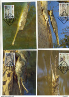 A41574)WWF-Maximumkarte Reptilien: Bangladesch 323 - 326 - Cartes-maximum