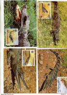 A41586)WWF-Maximumkarte Reptilien: Kongo 1063 - 1066 - Maximum Cards