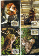 A41704)WWF-Maximumkarte Vogel: Philippinen 3593 - 3596 - Maximum Cards