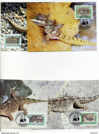 A45219)WWF-Maximumkarte Reptilien: Kap Verde 500 - 503 - Cartes-maximum