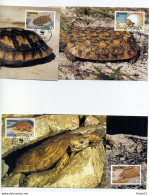 A45224)WWF-Maximumkarte Reptilien: Tansania 1511 - 1514 - Cartes-maximum