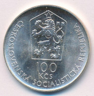 Csehszlovákia 1987. 100K Ag "A Bányászati Akadémia 225. évfordulója" T:UNC Czechoslovakia 1986. 100 Korun Ag "225th Anni - Ohne Zuordnung