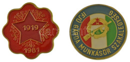 ~1970. "Ifjú Gárda Munkásőr Szakalegység" Műgyantás Fém Lemezjelvény (51mm) + 1981. "1919-1981" Műgyantás Fém Lemezjelvé - Non Classés