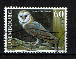 Luxembourg 1999 - YT 1418 - Fauna, Oiseaux, Chouette, Eule, Owl, Uil - Oblitérés